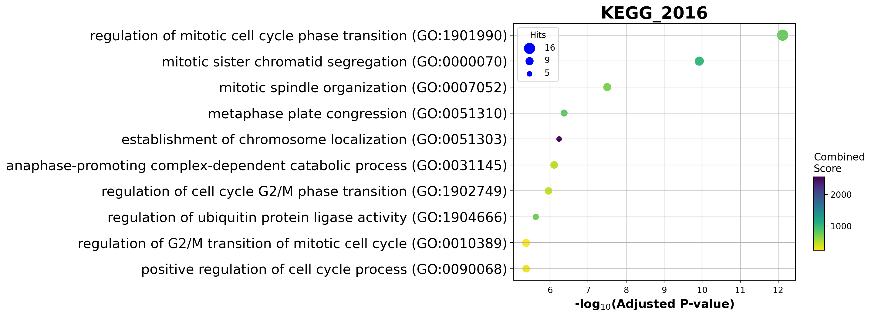 ../_images/notebooks_tutorial_pancreatic_endocrinogenesis_55_2.png