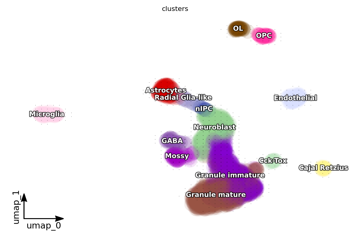 _images/dentategyrus_subset_scvelo_13_1.png
