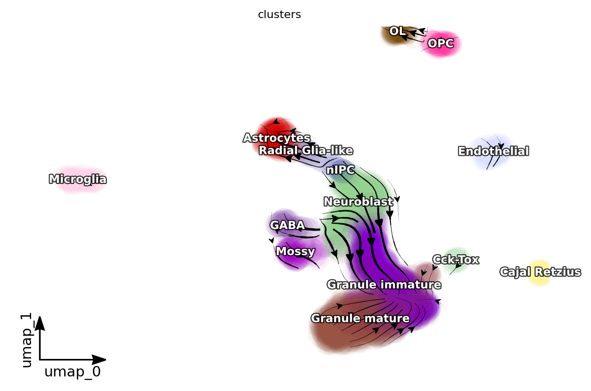 _images/dentategyrus_subset_scvelo_14_1.png