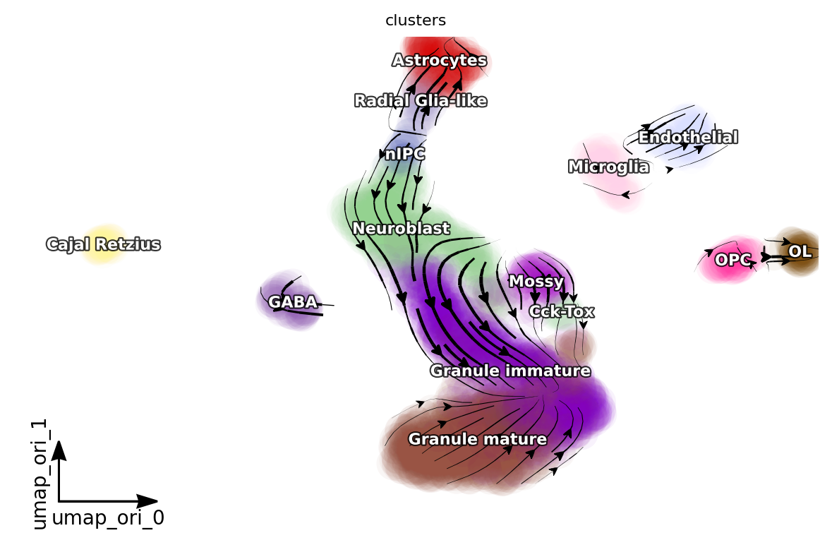 _images/dentategyrus_subset_scvelo_15_4.png