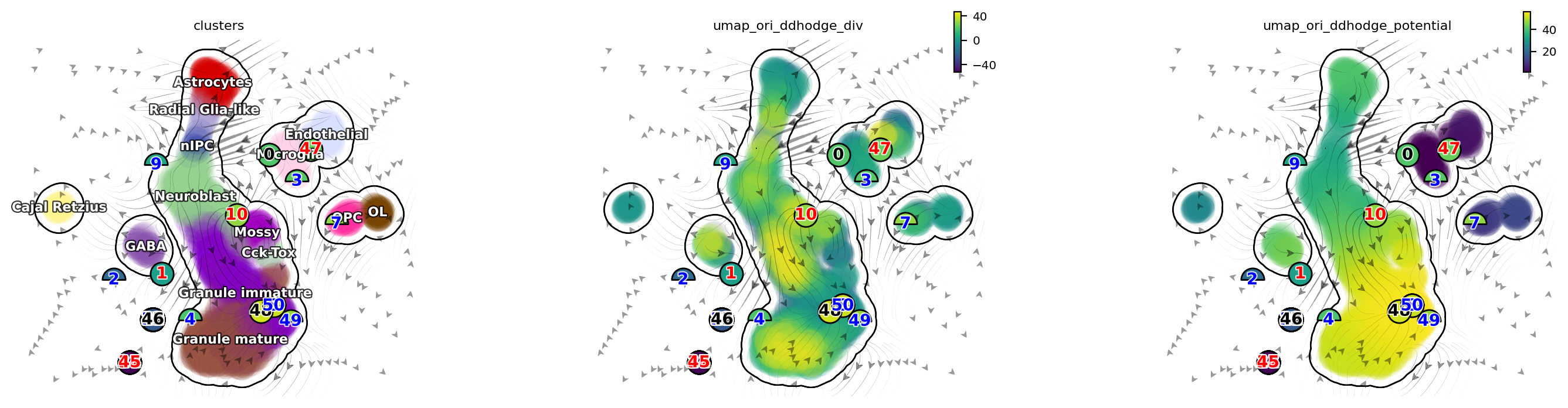 _images/dentategyrus_subset_scvelo_21_0.png