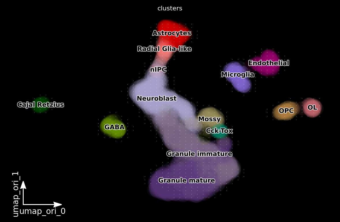 _images/dentategyrus_subset_scvelo_23_4.png