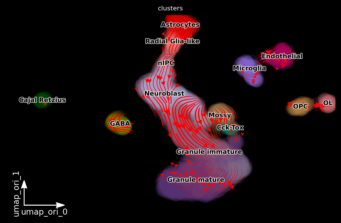 _images/dentategyrus_subset_scvelo_23_6.png