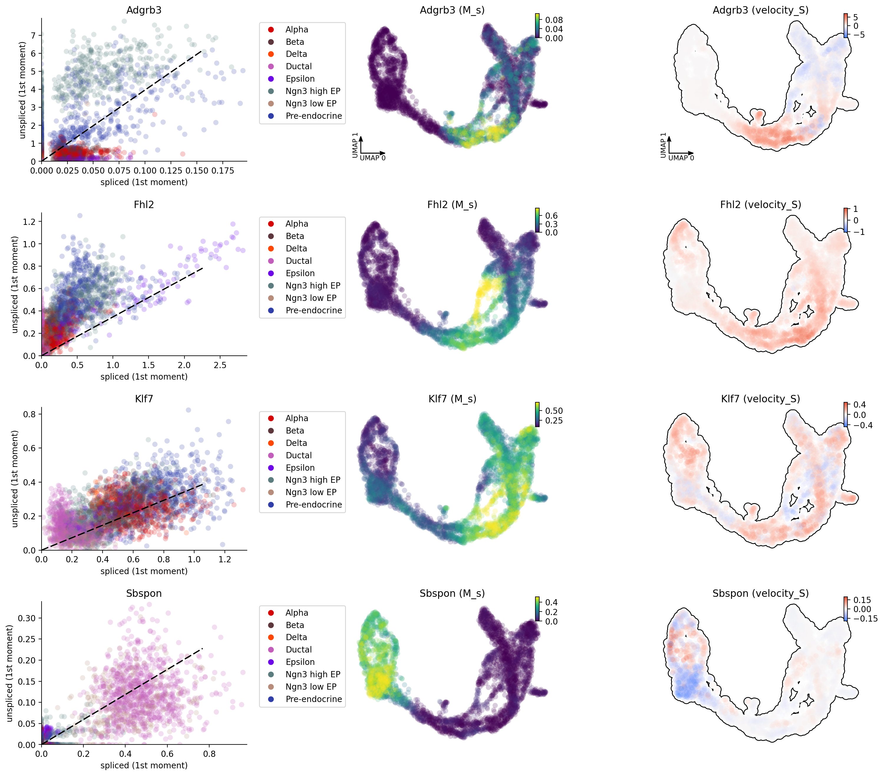 _images/pancreatic_endocrinogenesis_6_0.png