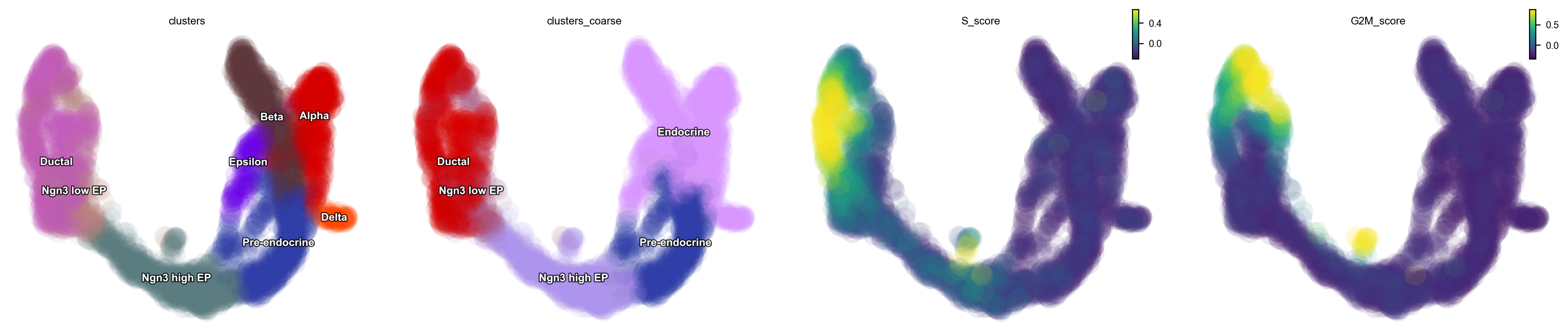 _images/pancreatic_endocrinogenesis_7_0.png