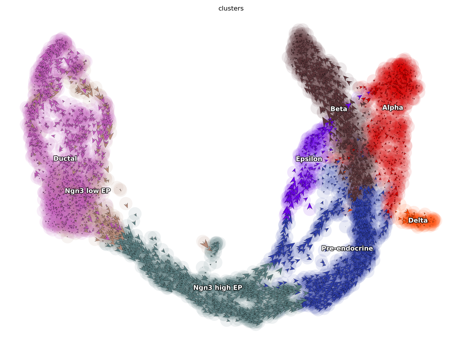 _images/pancreatic_endocrinogenesis_9_1.png