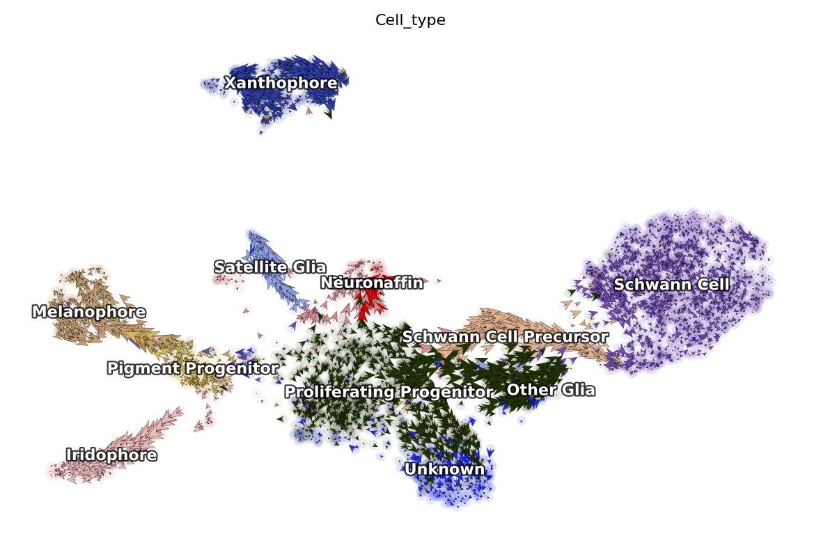 _images/zebrafish_24_1.png