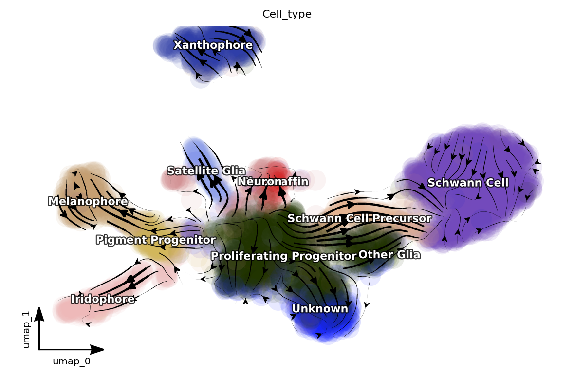 _images/zebrafish_25_1.png