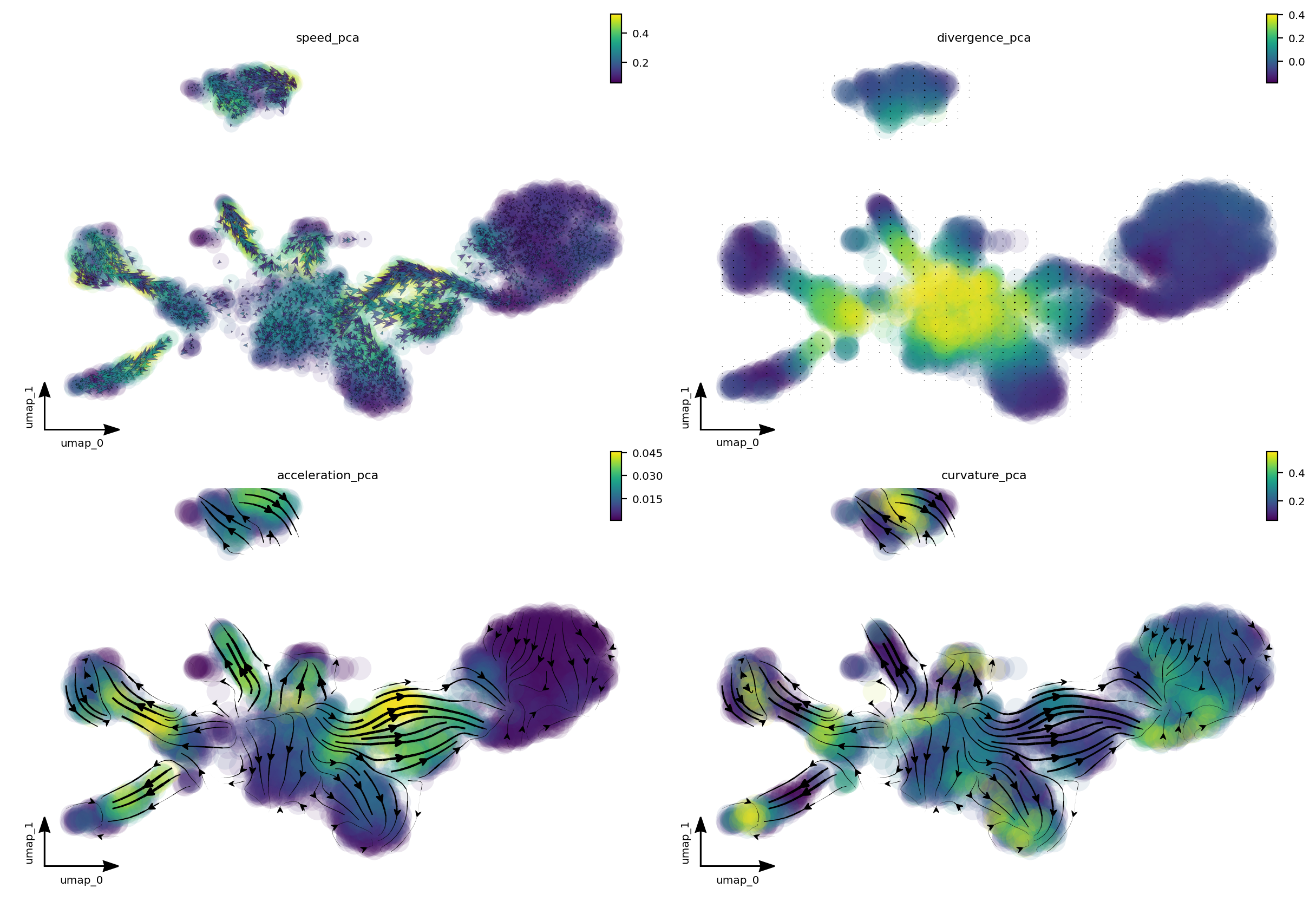 _images/zebrafish_40_0.png