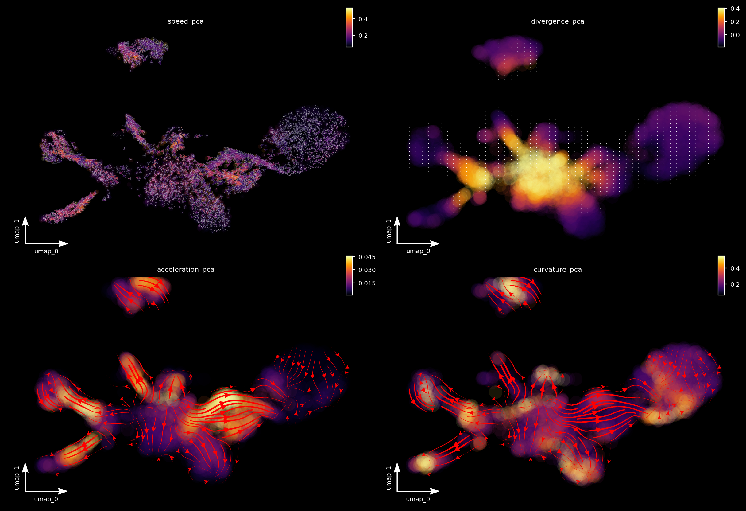 _images/zebrafish_43_0.png